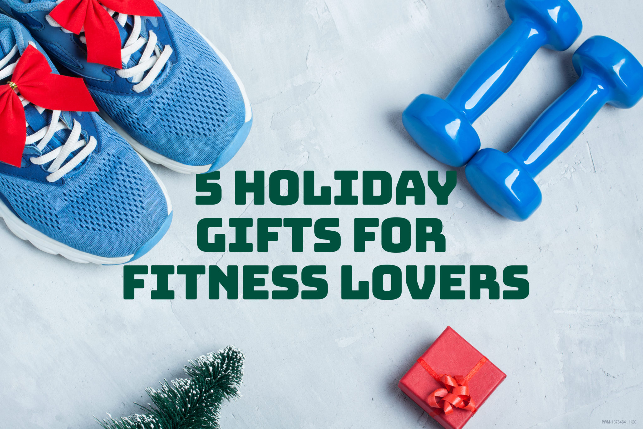 21 Christmas Gifts for Gym Lovers